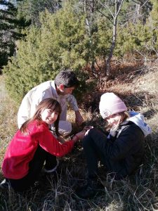 viber_image_2022-03-06_15-05-31-876