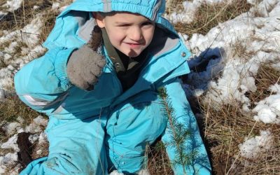 AKCIJA POŠUMLJAVANJA POVODOM DANA DRŽAVNOSTI BOSNE I HERCEGOVINE