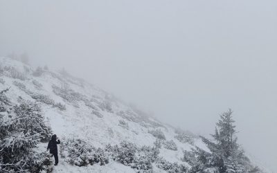 STIPENDISTICE FONDACIJE EDUCOS U POHODU NA TREBEVIĆ