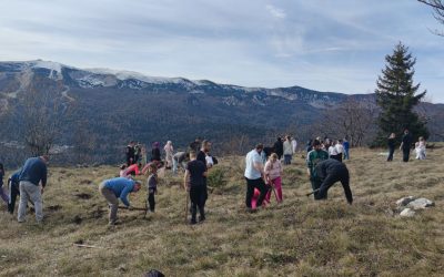 USPJEŠNO REALIZOVANA AKCIJA POŠUMLJAVANJA “POSADI DRVO” NA PLANINI IGMAN